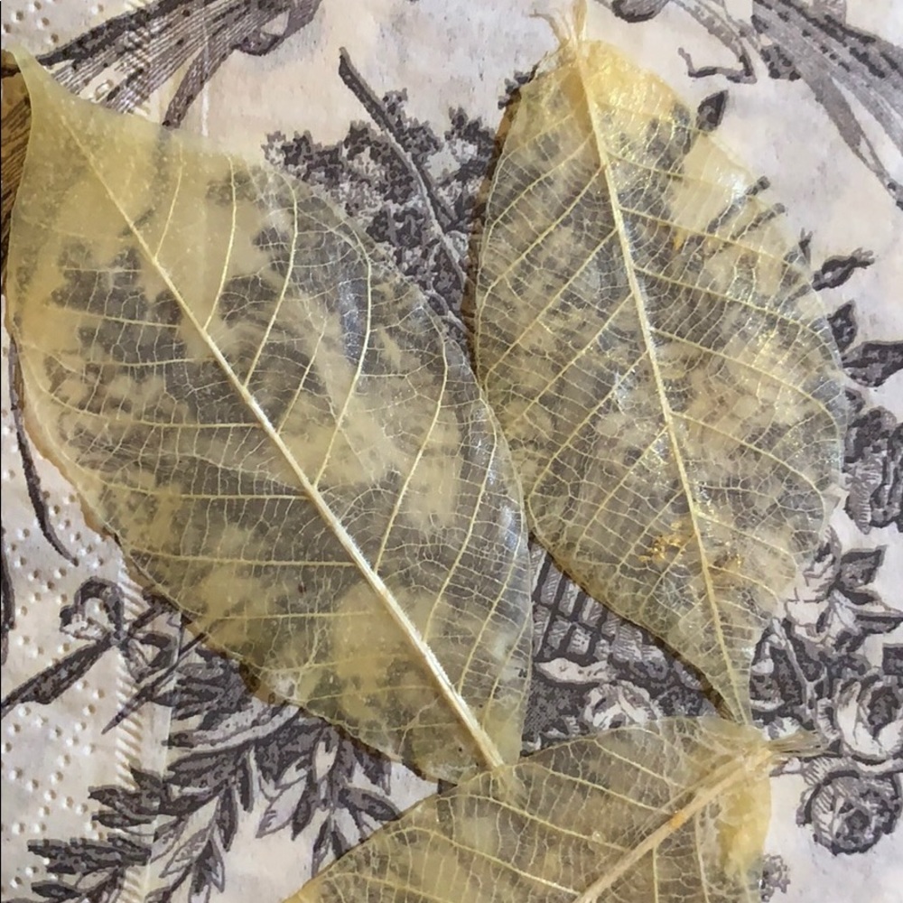 Beautiful French leaf soaps - Picture 2 of 2